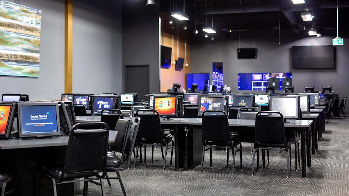 Dolphin Gaming — photo 6