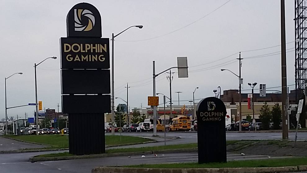 Dolphin Gaming — photo 5