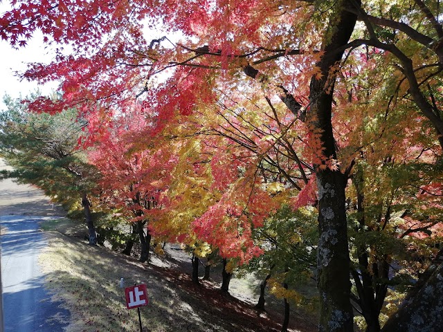Minoh Golf Club - Photo 4