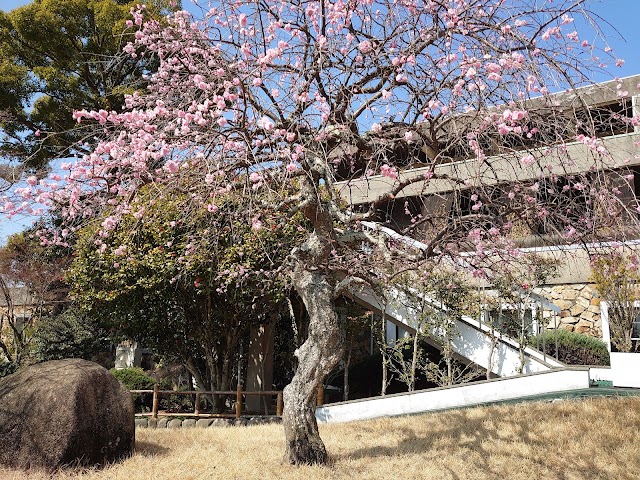 Minoh Golf Club - Photo 6