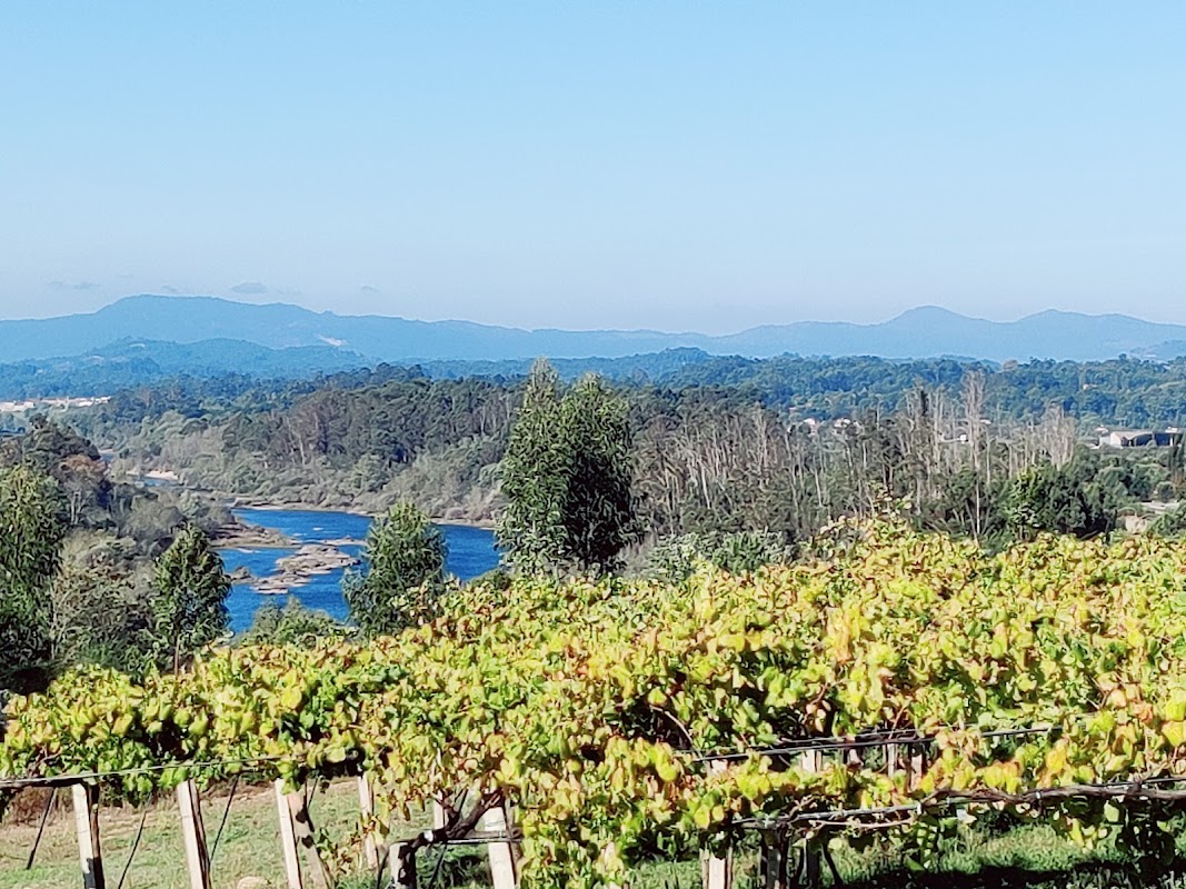Bodegas Viña Nora