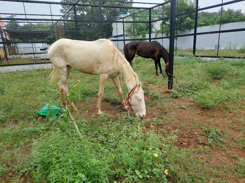 SIDCO-Kappalur