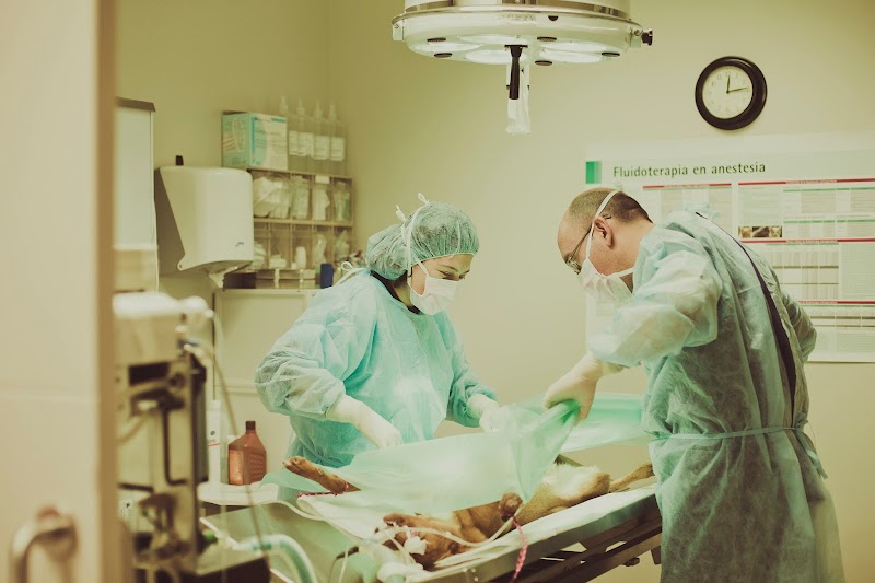 Clínica Veterinària Quatre Camins