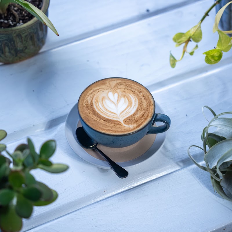 Coffee & Kindness photo 3