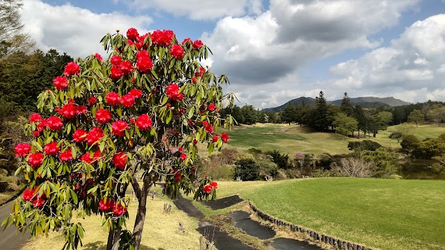 Kiyokawa Country Club - Photo 6