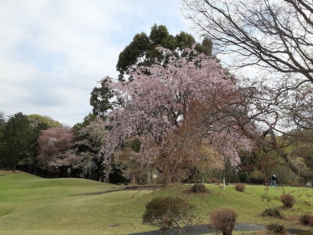 Kiyokawa Country Club - Photo 8