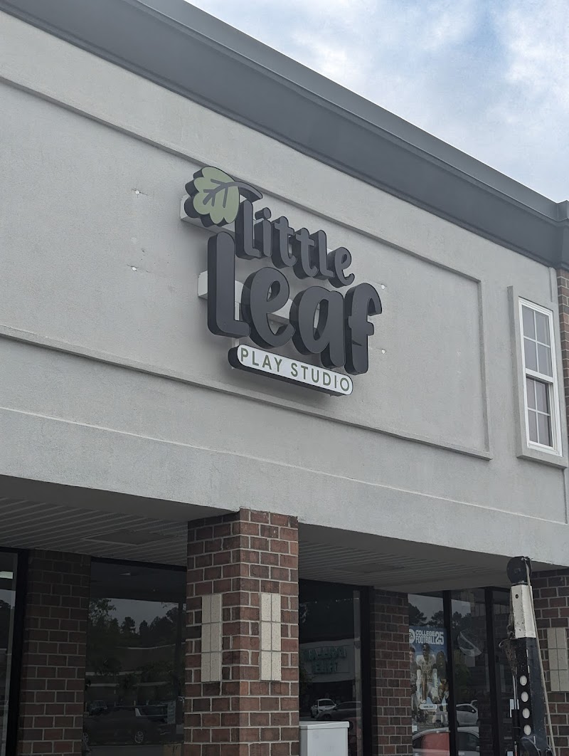 Little Leaf Play Studio photo 8