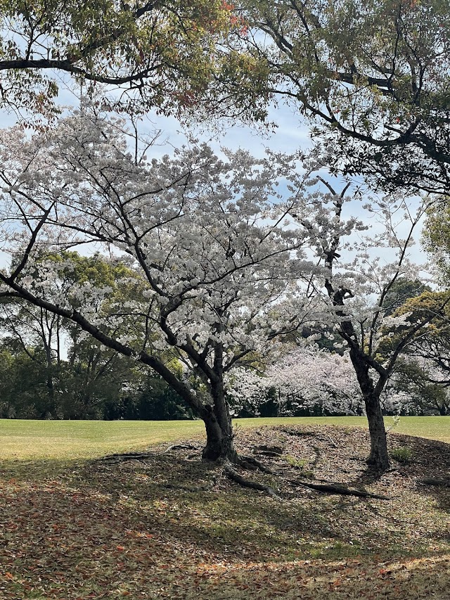 Wakayama Country Club - Photo 9