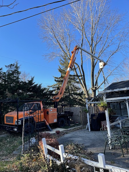 Metro Tree Service