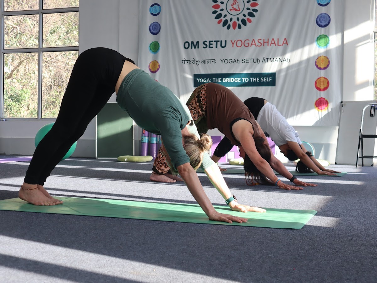 Om Setu Yogashala - Ayurveda & Yoga Retreats Rishikesh