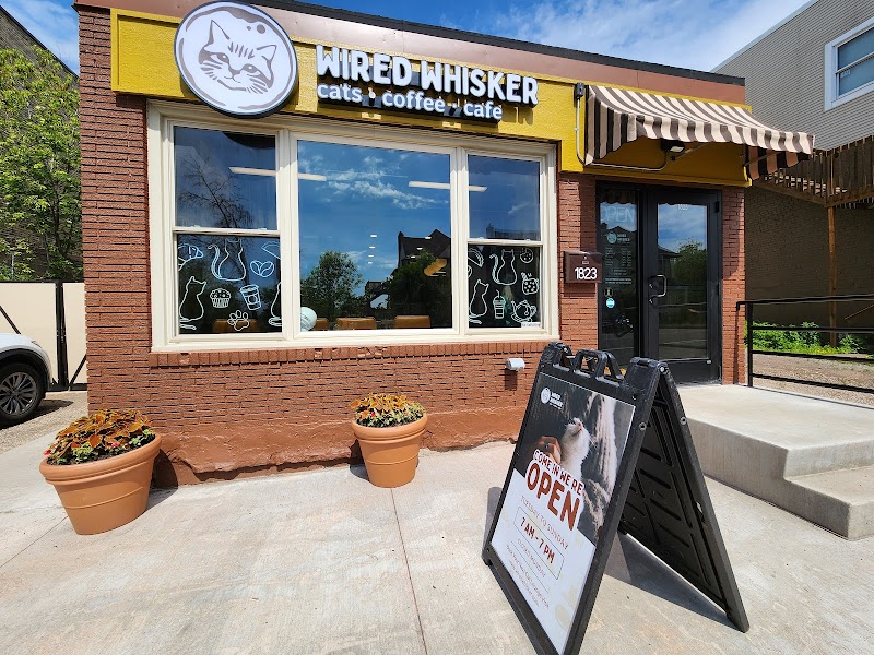 Wired Whisker photo 1