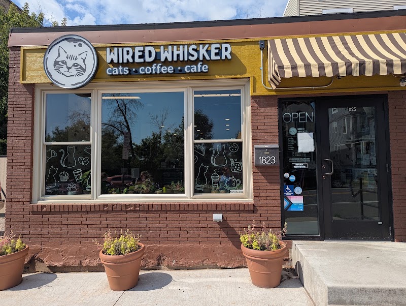 Wired Whisker photo 3