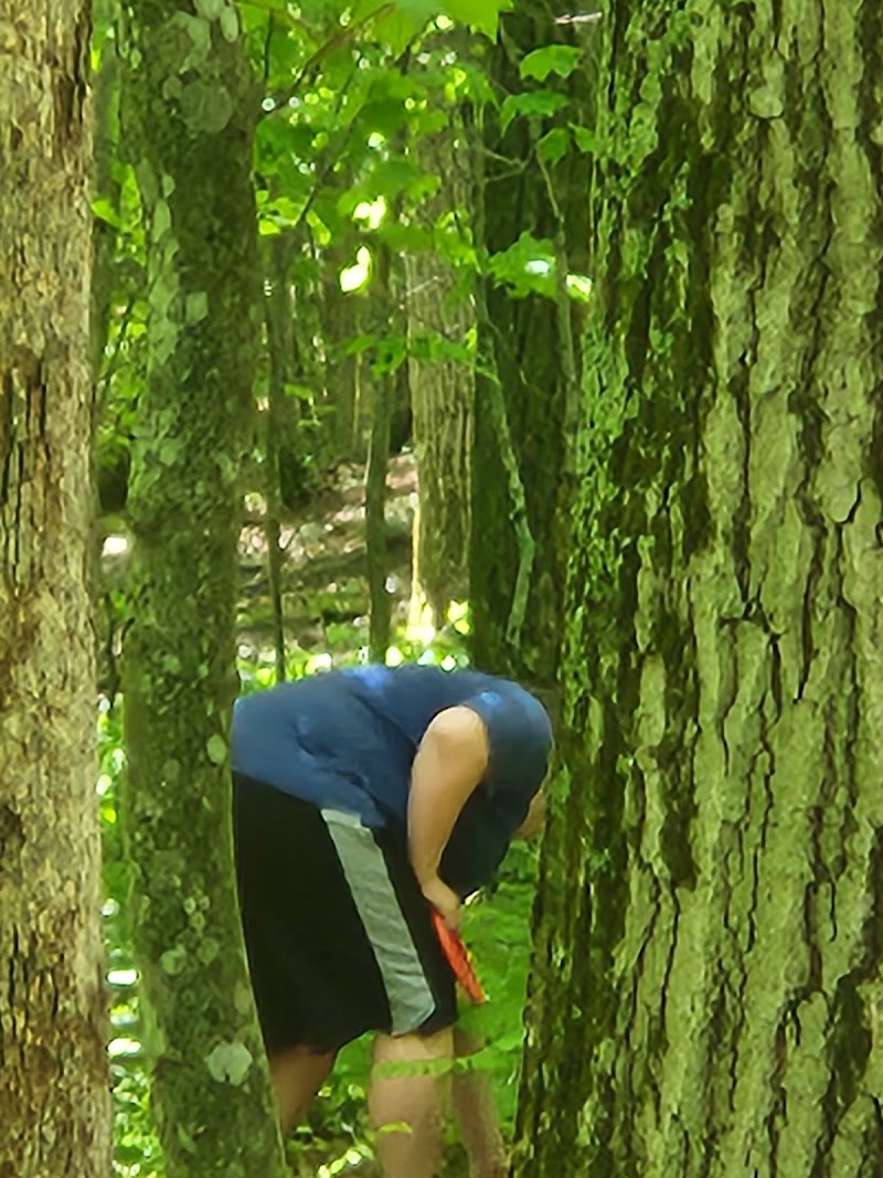 Mountainside Disc Golf photo 4