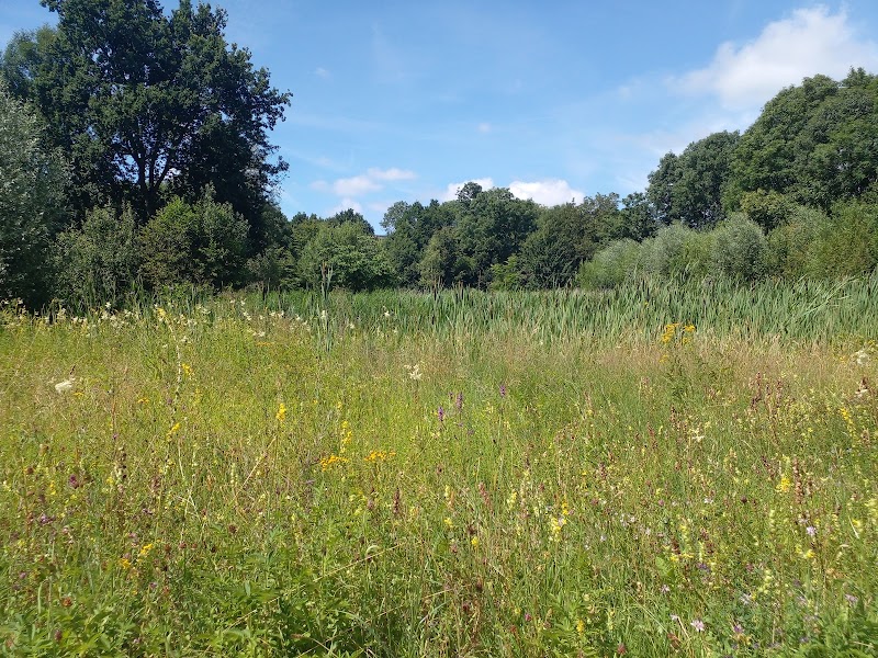 Heemtuin - Waterschapsheuvel