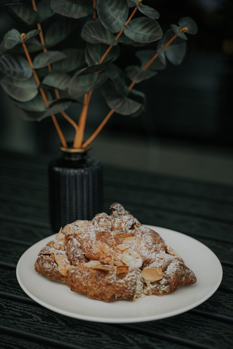 The Madison Place photo 2