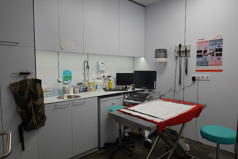 HOSPITAL VETERINARIO AVINGUDA