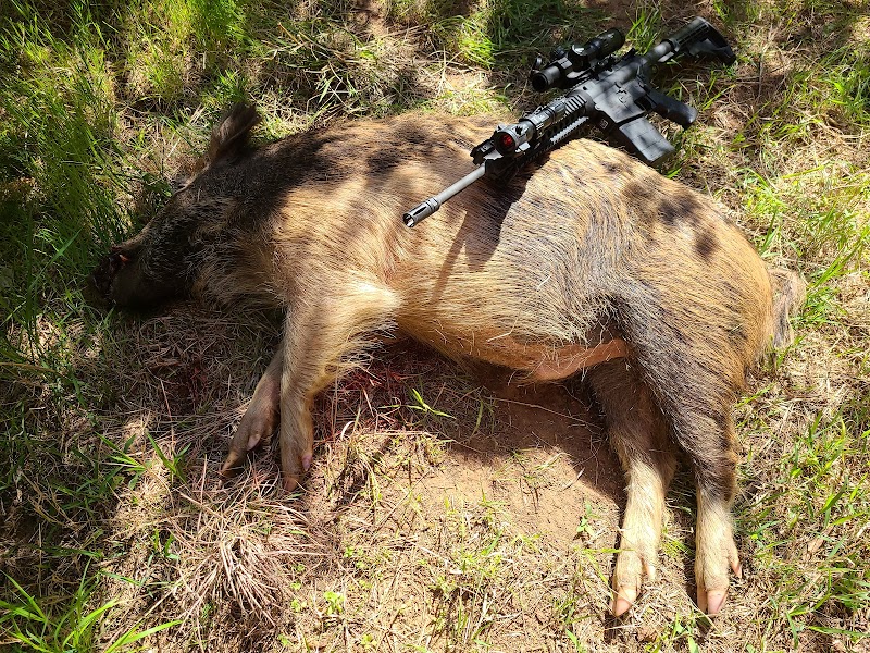 Wild Beast Hunting LLC dba USHunts - Photo 5