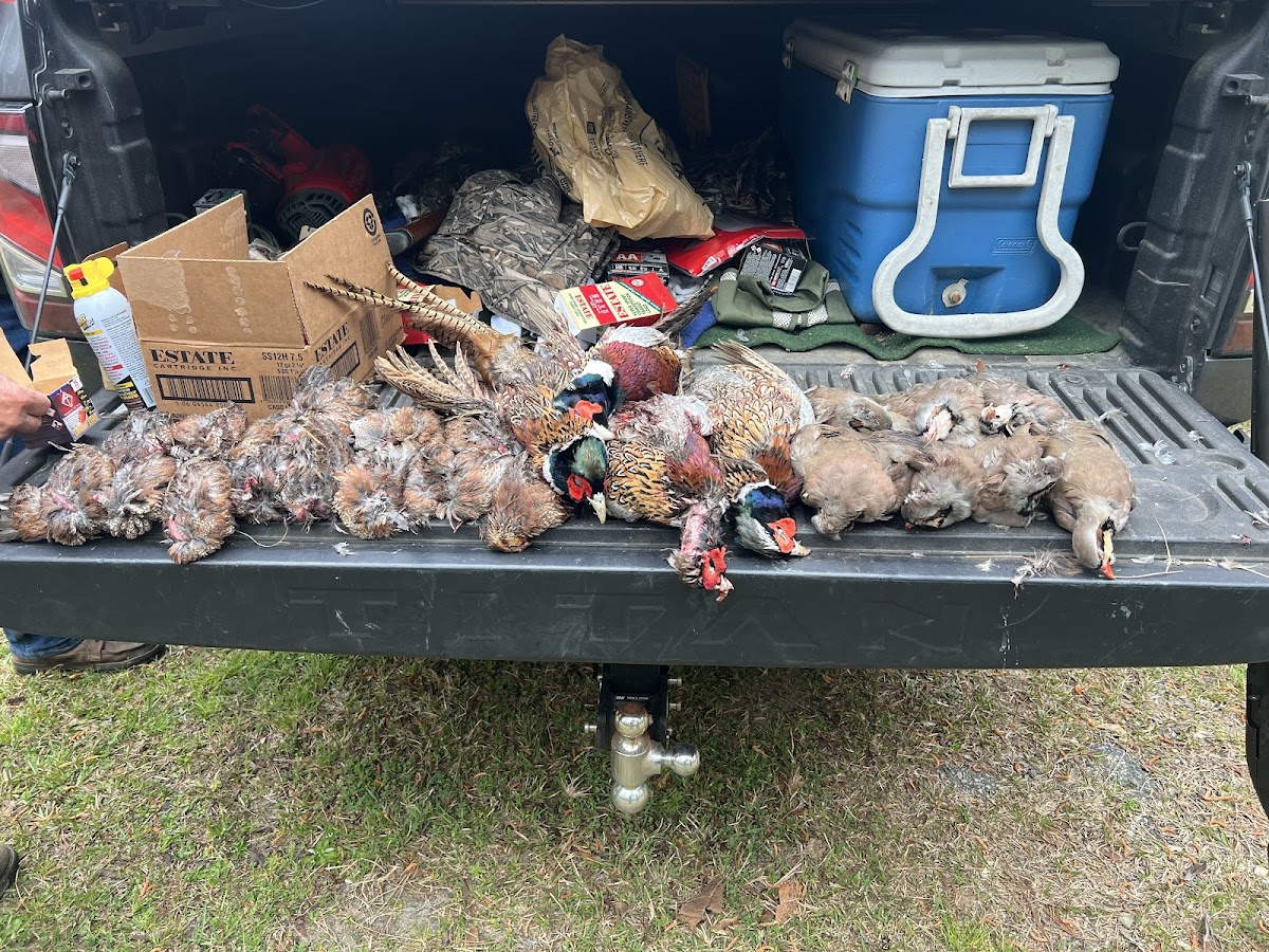Spring Grove Shooting Preserve