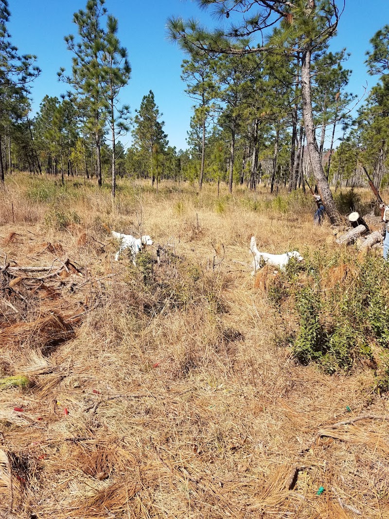 Spring Grove Shooting Preserve - Photo 2