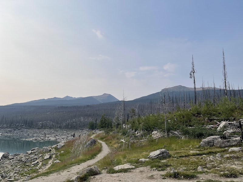 YMCA Nellie Carlson Out of School Care photo 2