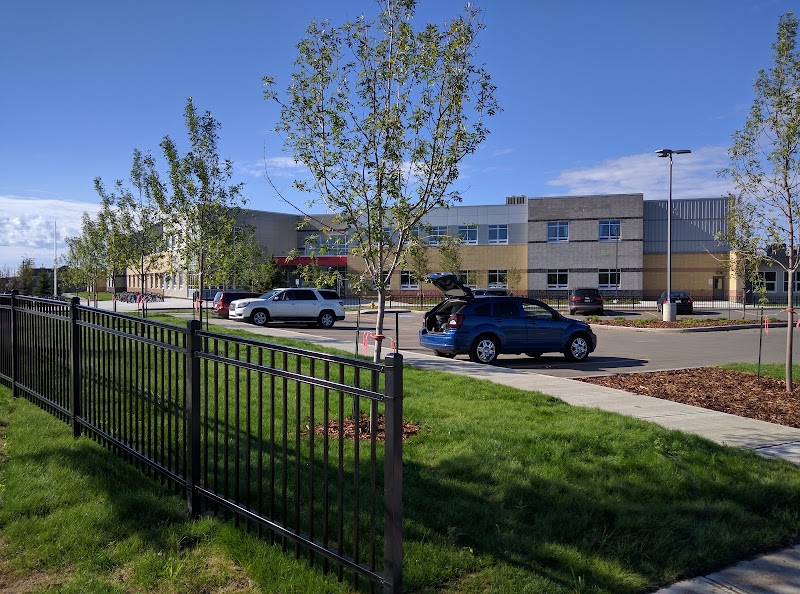 YMCA Nellie Carlson Out of School Care