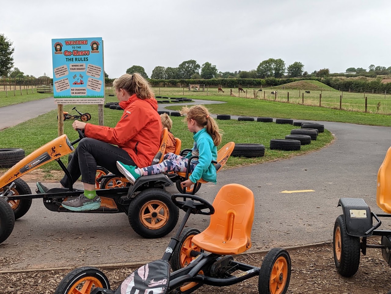 Little Owl Farm Park
