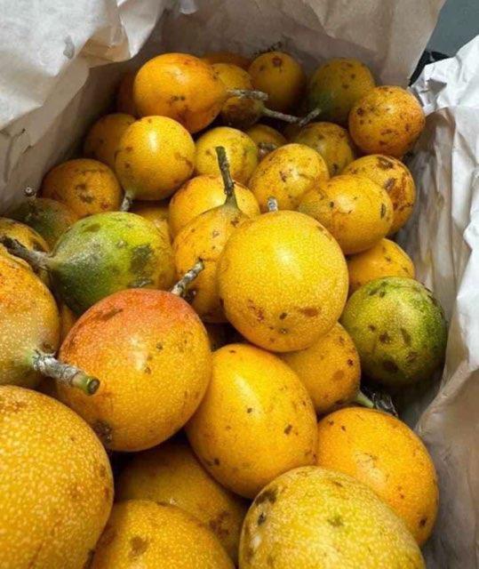 Photo by Tienda El Quetzal