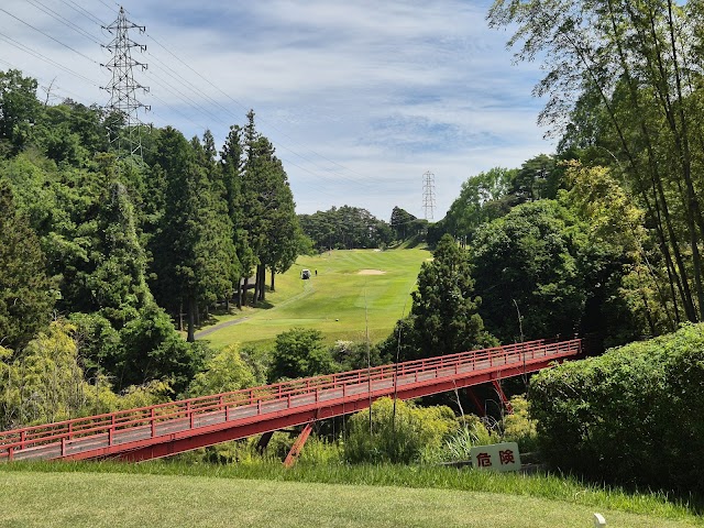 Benii Country Club - Photo 4