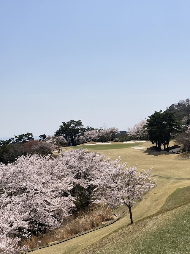 Benii Country Club - Photo 3