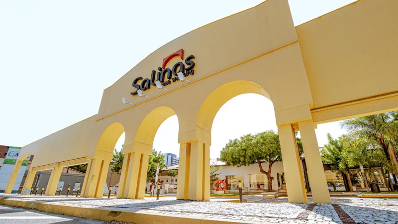 Dra Aline Melo - foto 3