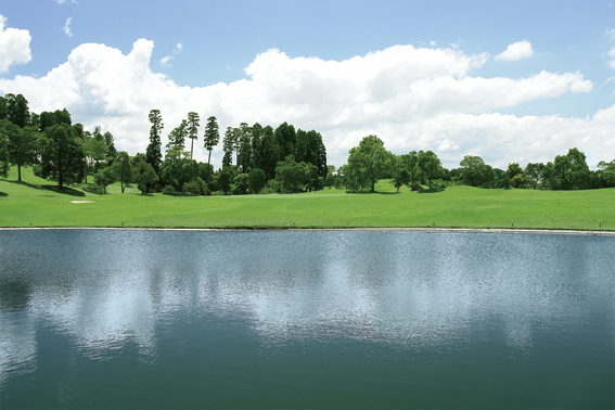 Rainbow Sports Land Golf Club - Photo 10