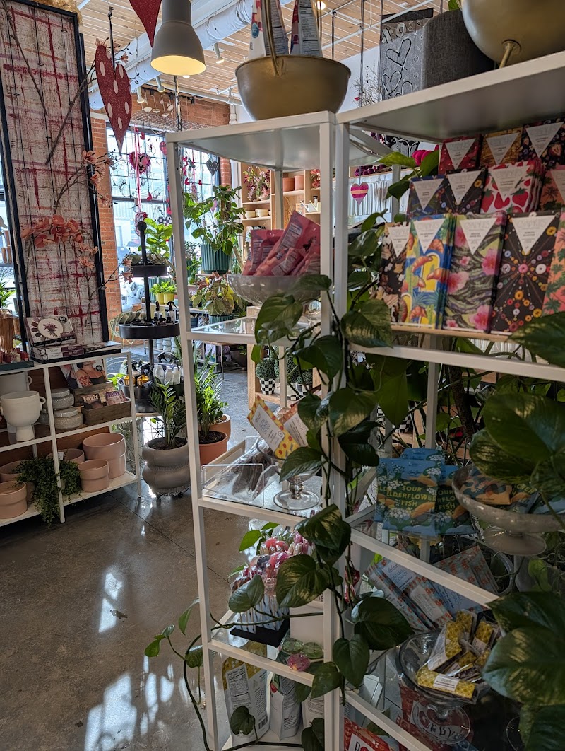 Winter Swan Coffee photo 2