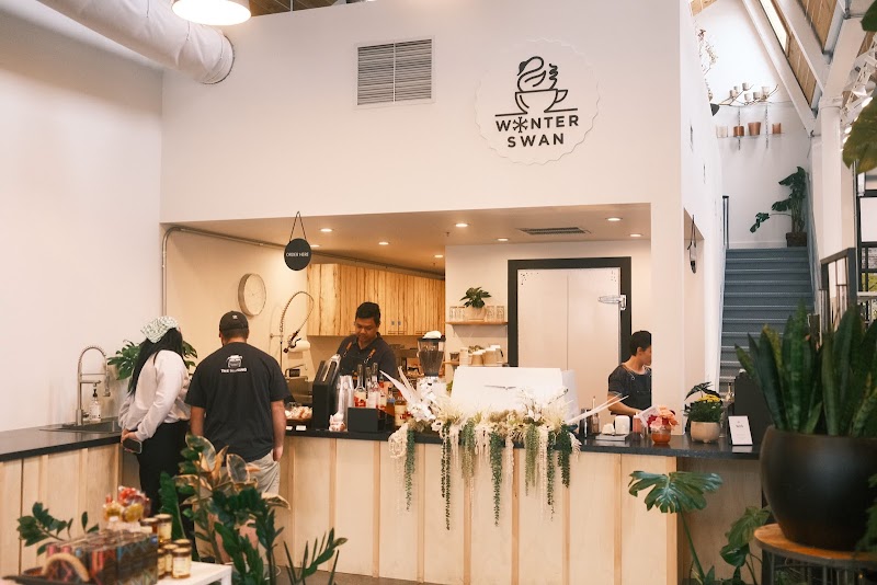 Winter Swan Coffee photo 1