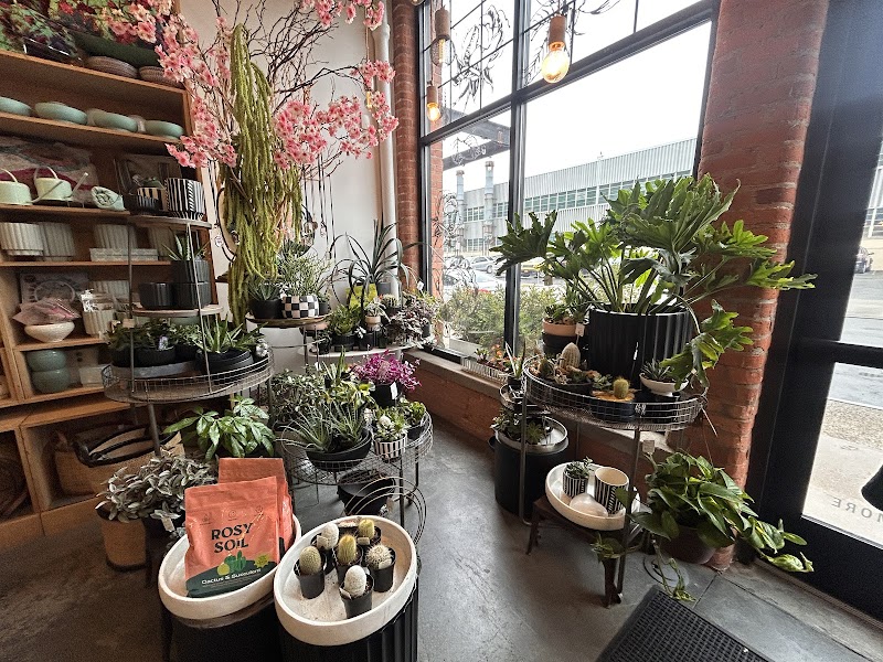 Winter Swan Coffee photo 2