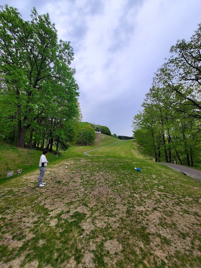 Onneyu International Country Club - Photo 9
