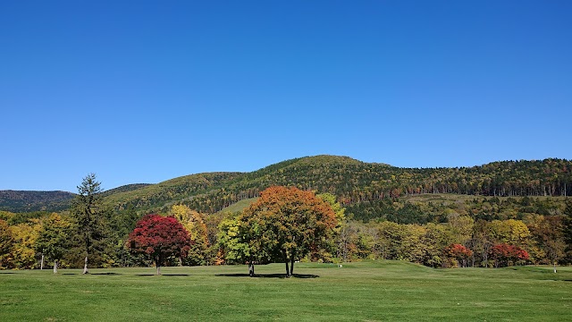 Onneyu International Country Club - Photo 1