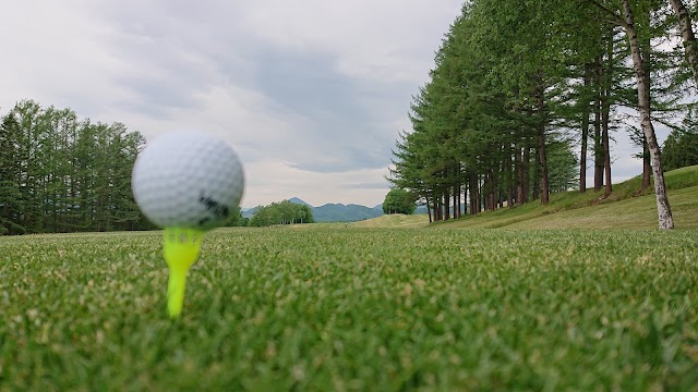 Onneyu International Country Club - Photo 7