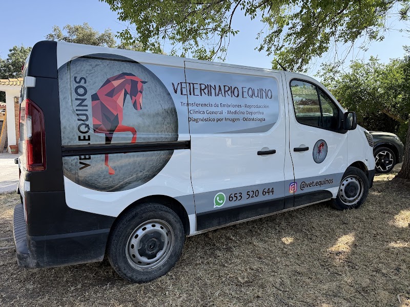 Vet.equinos