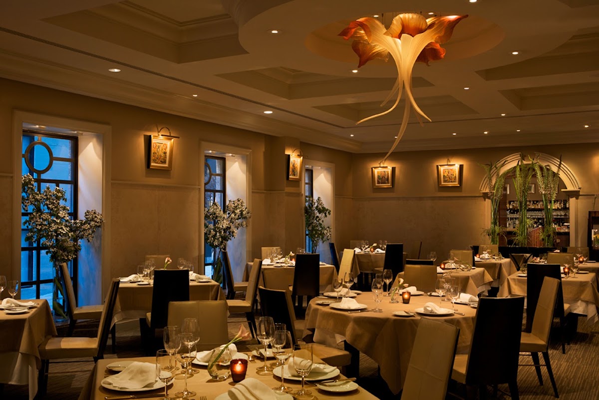Taj Campton Place, dog-friendly hotel, photo 5
