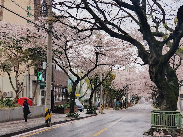 Jeonnong-ro 1