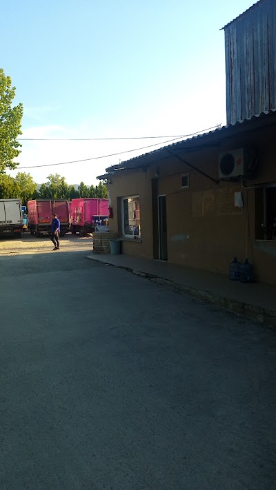 Golf dondurma depo (buzbeyazı gıda) - Nakliyat
