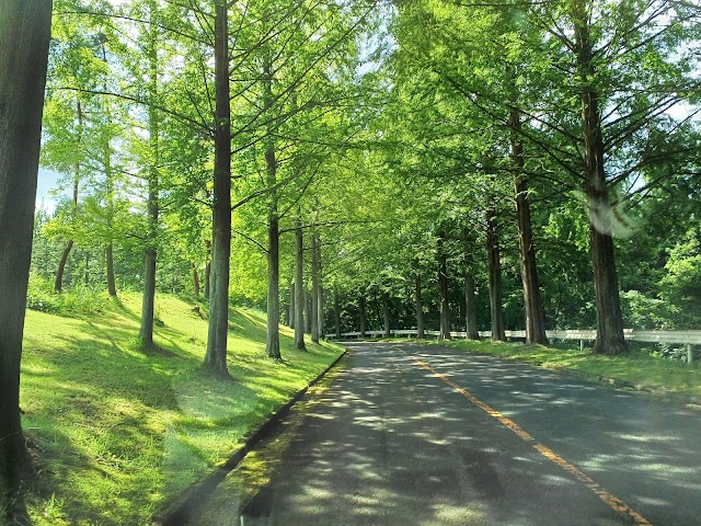 Izumi International Golf Club - Photo 2