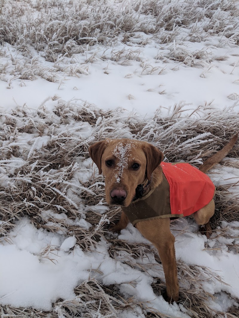 Lake's Lodge & Hunting Preserve - Photo 3