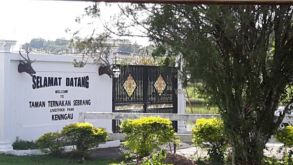 Green Restaurant - Photo 1