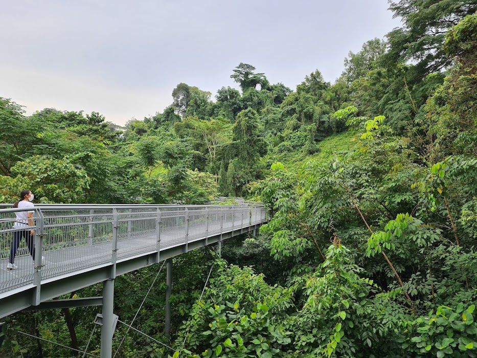 Southern Ridges fotoğraf 1