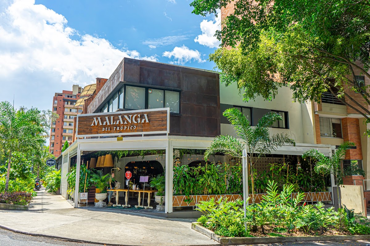 Malanga del trópico Laureles l Medellín in medellin