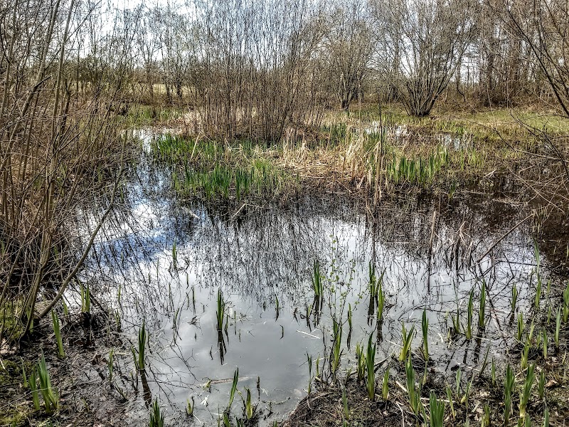 Malton Nature Reserve