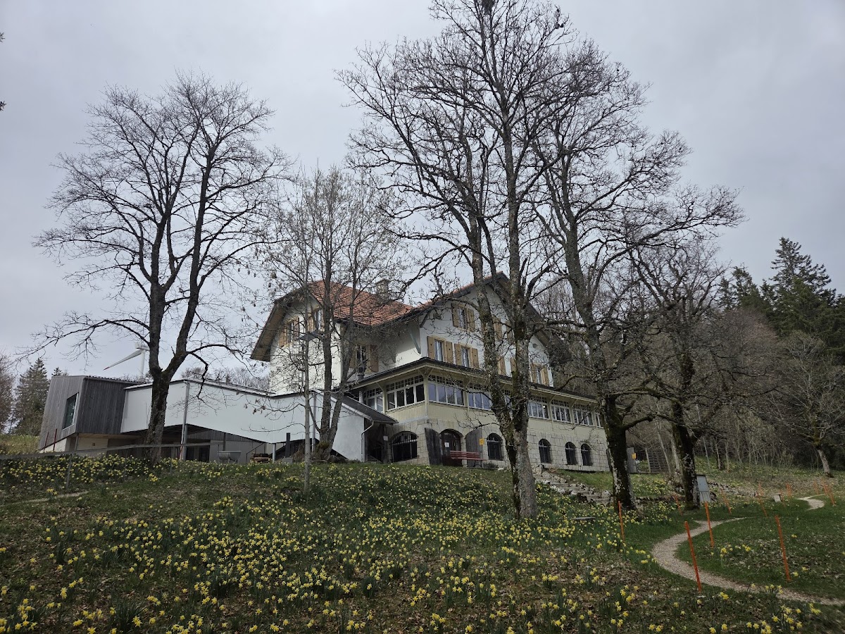 Vipassana Dhamma Sumeru
