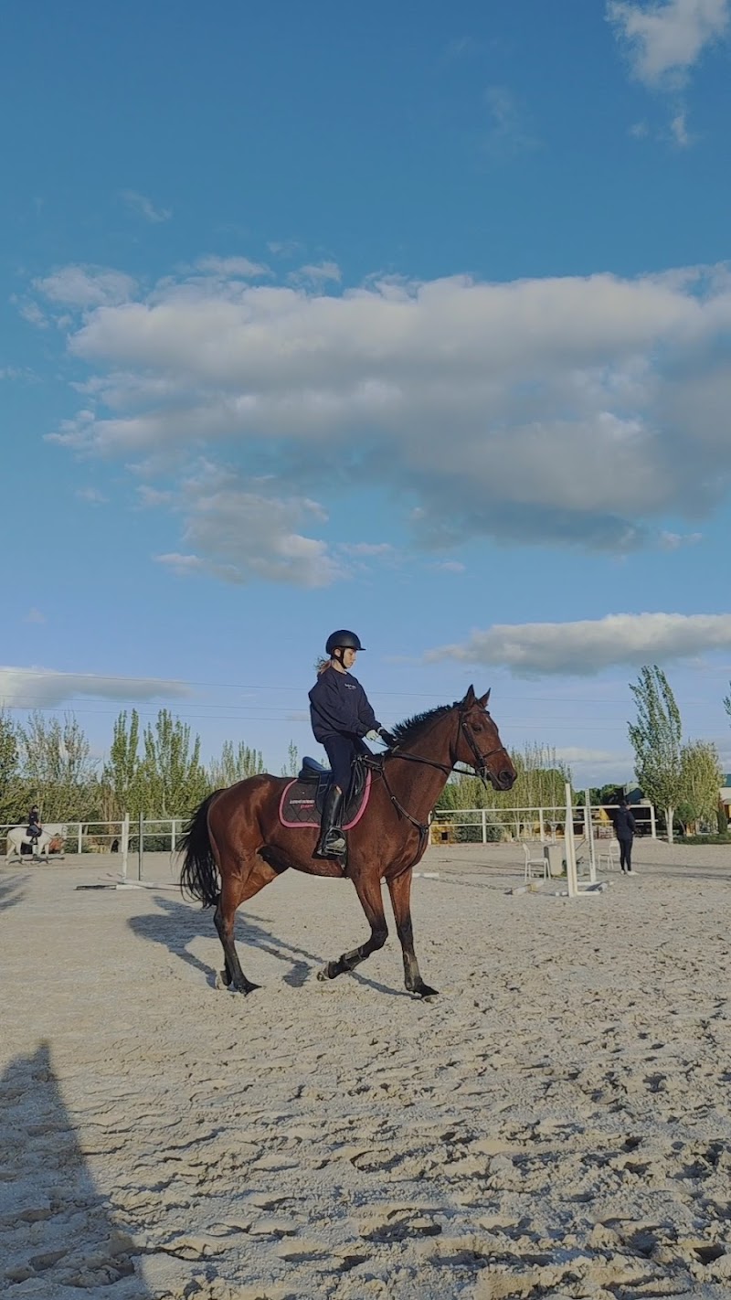 Riding Dreams Horse Xperience