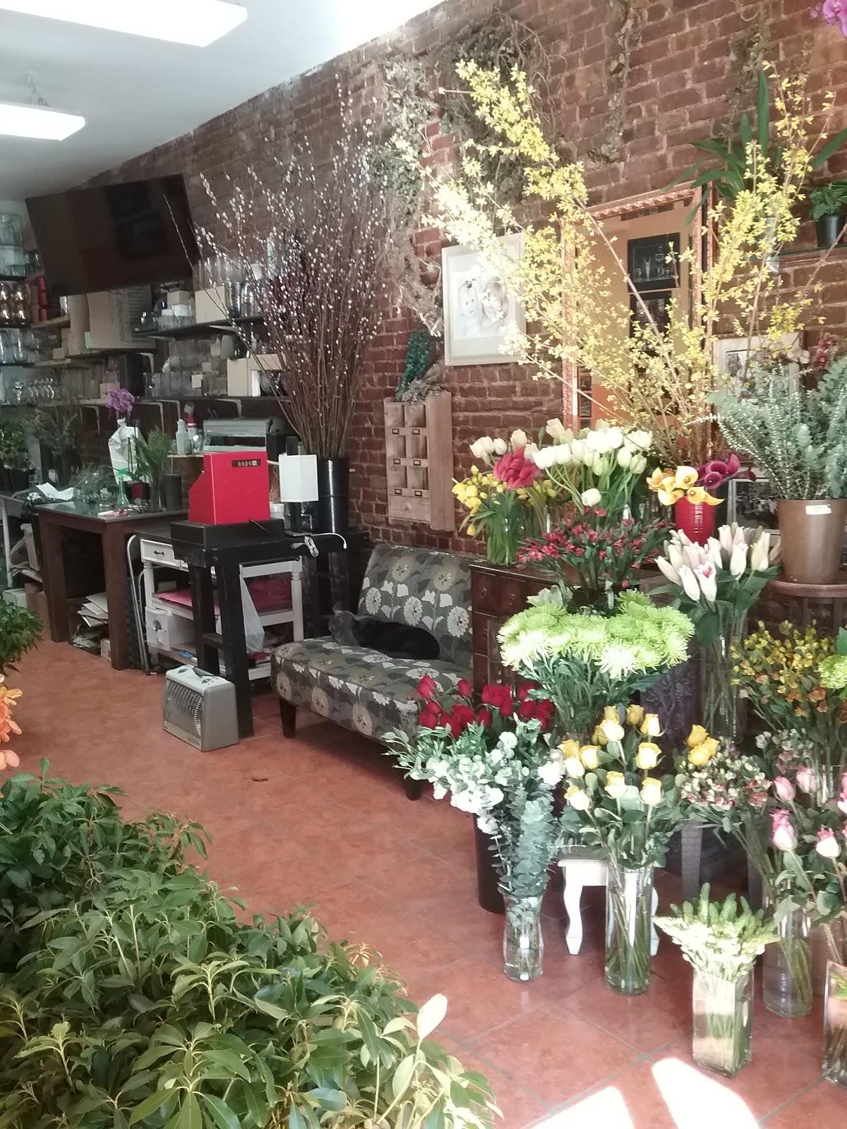 Flowers on Essex: Google Places image 5